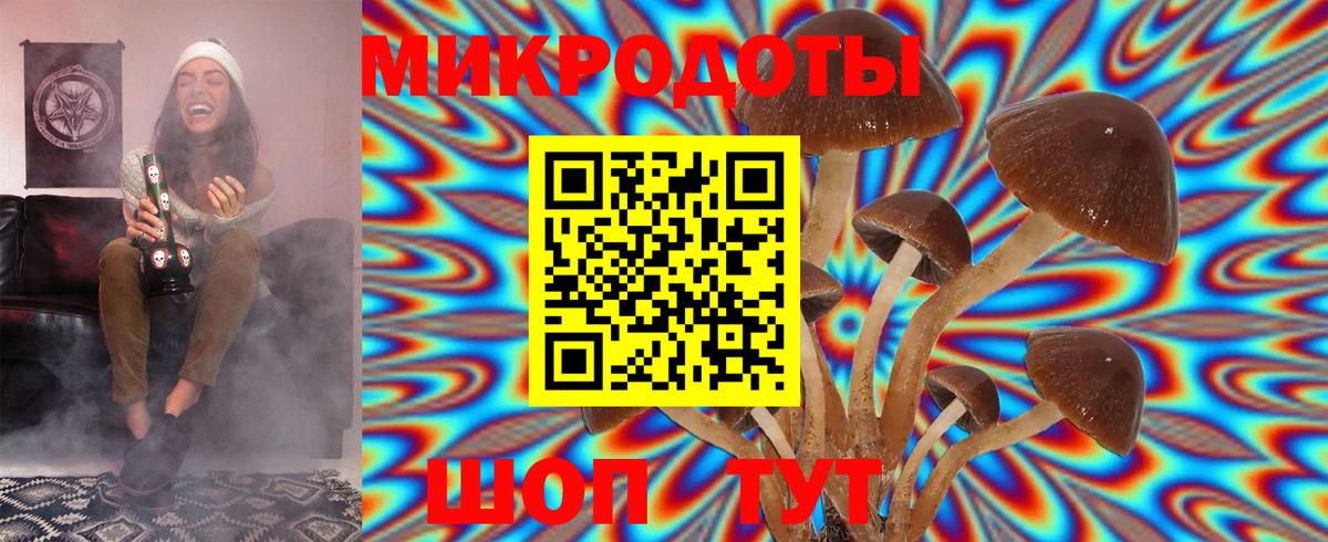 Псилоцибиновые грибы MAGIC MUSHROOMS Махачкала