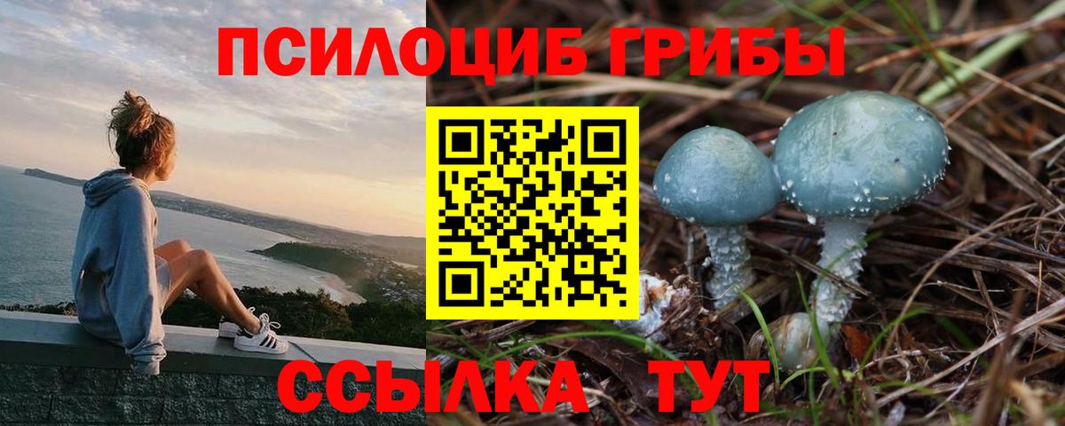 сколько стоит  Галлюциногенные грибы Magic Shrooms  Вход с VPN  Махачкала 