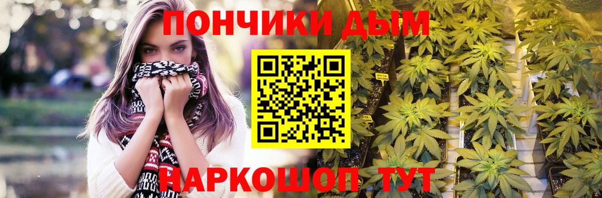 Бошки марихуана Bruce Banner  Вход с VPN  Бошки марихуана конопля  Бошки Шишки планчик  Махачкала 